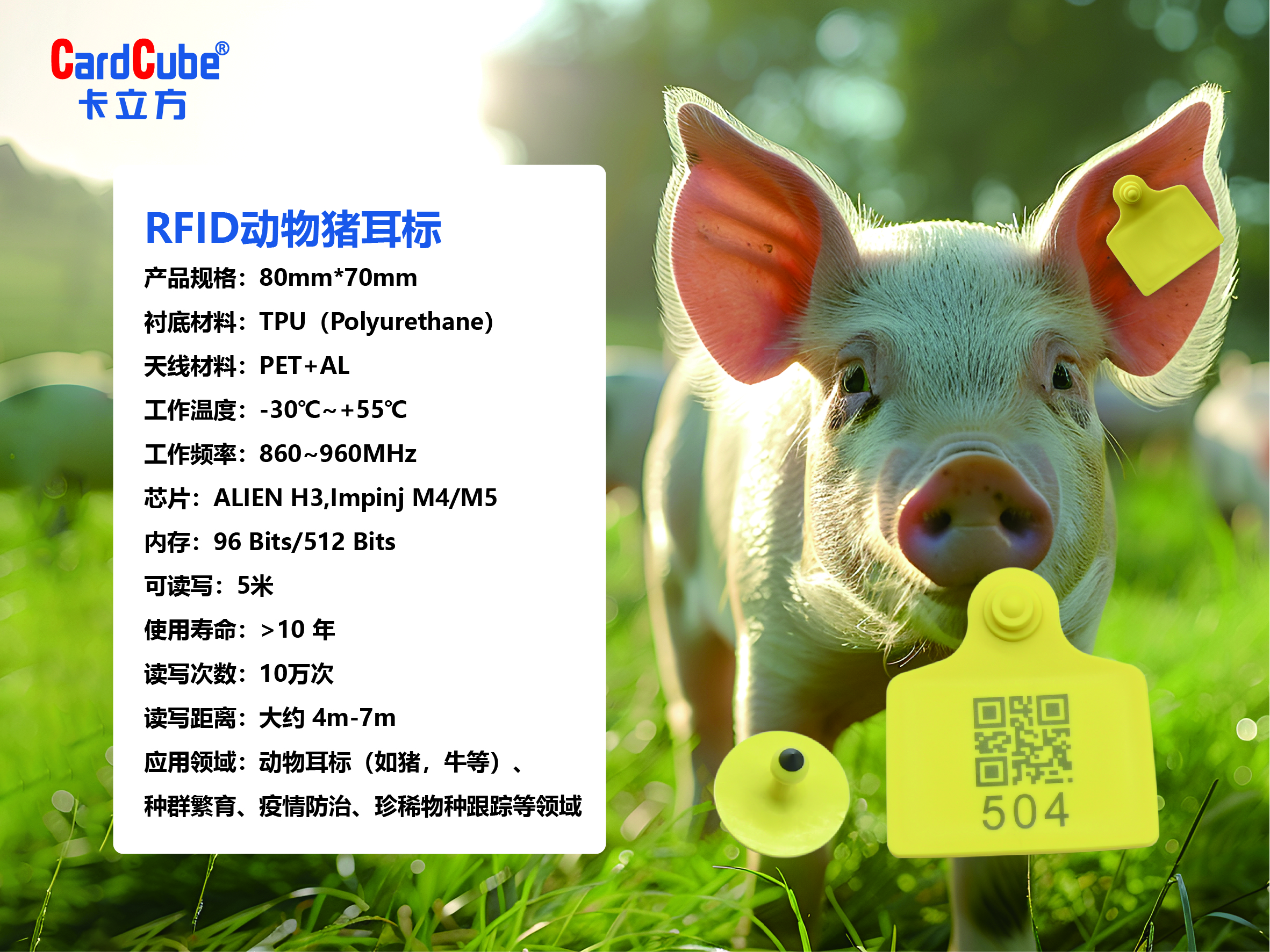 微信图片_20241211151136