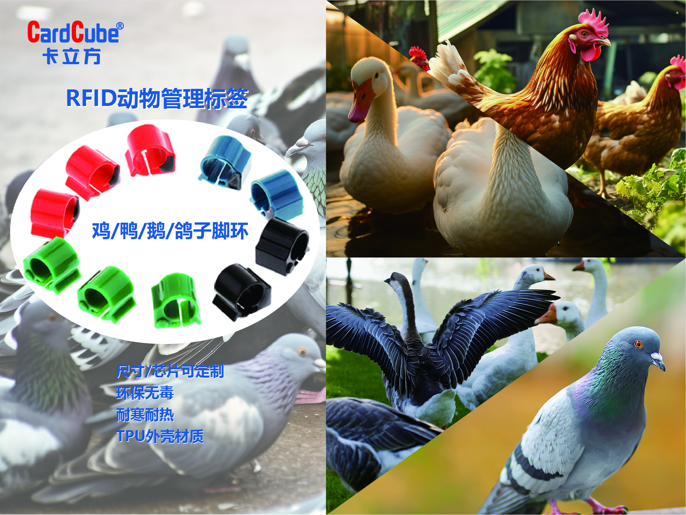 微信图片_20241211151251
