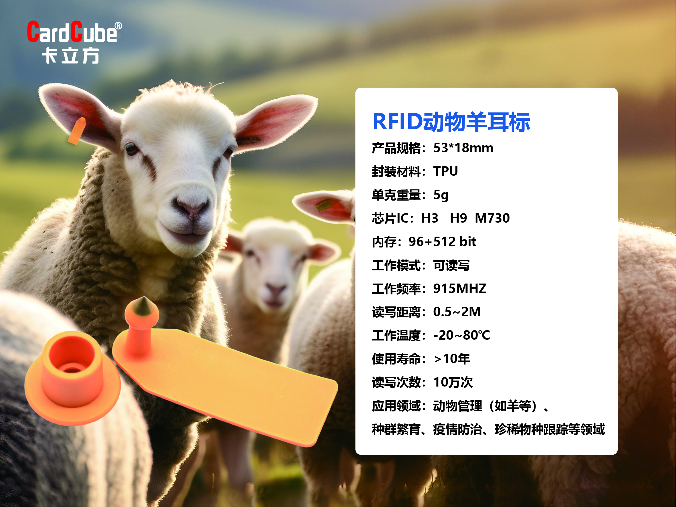微信图片_20241211151932