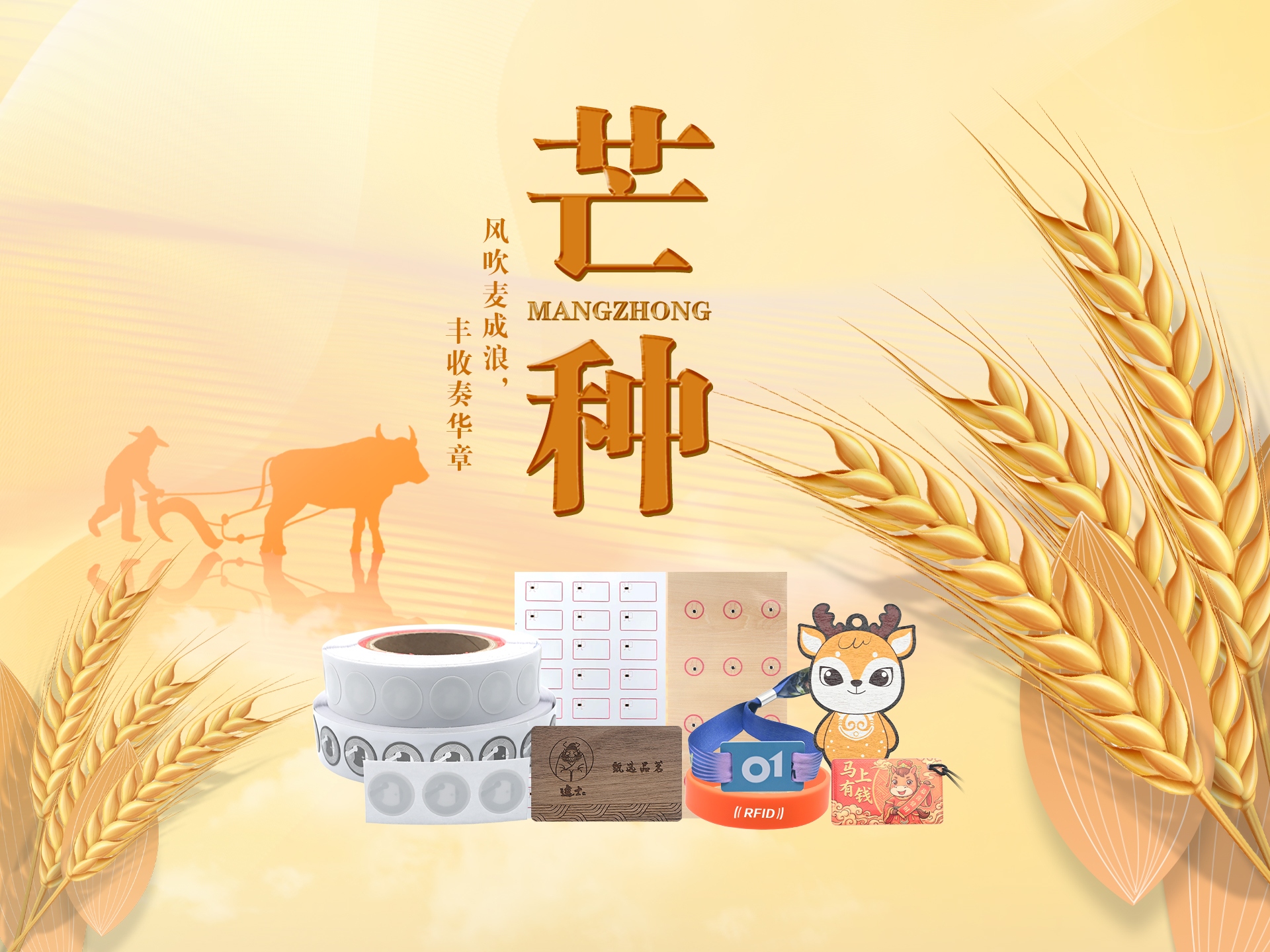 芒种耕耘正当时｜卡立方集团双基地精工智造，RFID智能卡木卡硅胶腕带NFC标签赋能万物互联数字化